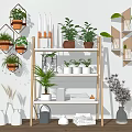Charming Garden Decor With Hexagonal Wall Shelves Tiered Wooden Shelf And Potted Plants