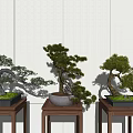 Three Bonsai Trees Placed on Wooden Stands Against White Tile Wall