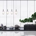 Modern Interior Garden Feature With Green Pine Tree Stones Black Base Hanging Lights And Glass Wall