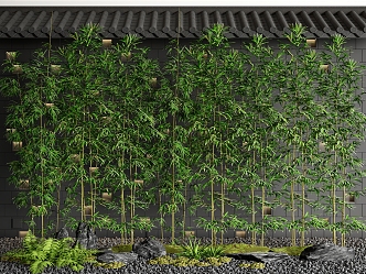 courtyard bamboo forest bamboo plant wall 3d model