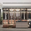 Modern Walk in Closet Interior Design With Glass Door Cabinets Hanging Clothes And Bench