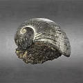 Textured Spiral Seashell With Natural Rock Like Base On Gray Background
