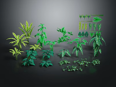 Various Green Plants With Different Leaf Types And Varied Sizes On Black Background 3d model