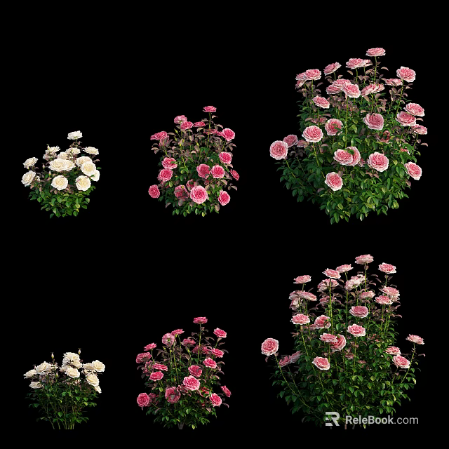 Beautiful Pink And White Blooming Flowers With Lush Green Leaves In Garden 3d model 