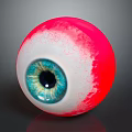 Medical Device Realistic Eye Anatomical Model For Ophthalmology Training And Education