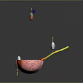 3D Anatomical Cardiac Medical Device With Heart Valve Catheter And Monitoring Sensors