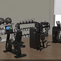 Modern Home Gym Fitness Equipment With Dumbbells Exercise Balls And Workout Machines