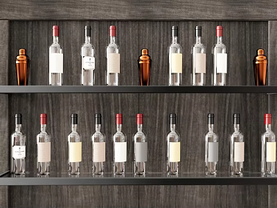 Neatly Arranged Glass Wine Bottles and Metallic Cocktail Shakers on Dark Wooden Shelves 3d model