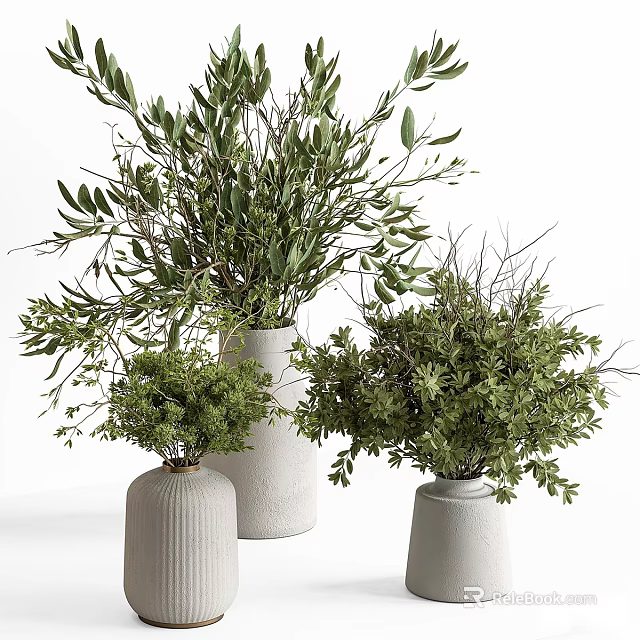 Decorative Potted Plants In White Vases With Green Leafy Branches And Fresh Foliage 3d model 