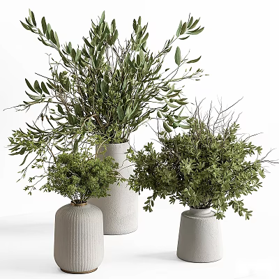 Decorative Potted Plants In White Vases With Green Leafy Branches And Fresh Foliage 3d model