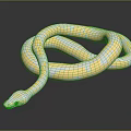 Striking Yellow and White Snake with Red Eyes Coiled on Black Background
