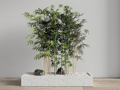 Modern bamboo 3d model