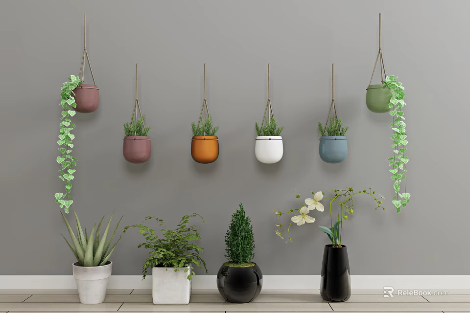 Indoor Bonsai and Potted Plants with Hanging Planters Colorful Pots Succulents Orchids 3d model 