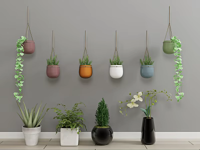 Indoor Bonsai and Potted Plants with Hanging Planters Colorful Pots Succulents Orchids 3d model