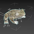 Realistic 3D Frog Model With Brown And Yellow Patterns And Large Eyes On Black Background
