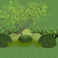 Lush Green Leaf Tree With Trimmed Shrubs Purple Flowers And Green Grass By Gray Wall