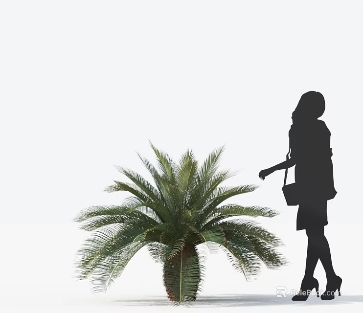 Elegant Woman Silhouette Walking Past Lush Palm Tree with Handbag and High Heels 3d model 
