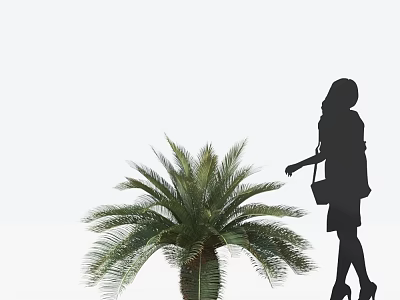 Elegant Woman Silhouette Walking Past Lush Palm Tree with Handbag and High Heels 3d model
