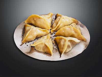 Golden Fried Dumplings Triangular Shape Arranged On White Plate With Crispy Skin 3d model