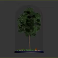 Green Tree Inside Transparent Glass Dome With Green Grass Orange Sand On Blue Base