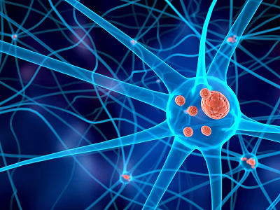 Medical Device For 3D Rendering Of Neuron Network With Red Cells 3d model
