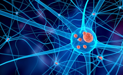 Modern Cell Disease 3d model