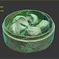 Traditional Steamed Dumplings Served in Bamboo Steamer with Fresh Lotus Leaves