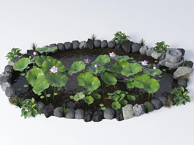 Natural Garden Water Fountain With Lotus Leaves Lotus Flowers Stones And Green Plants 3d model
