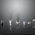 Slender Green Plants in Various White Flower Pots for Modern Indoor Decor
