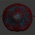 Vibrant Red Mushroom With Blue Spots And Root Like Structures As Edible Food