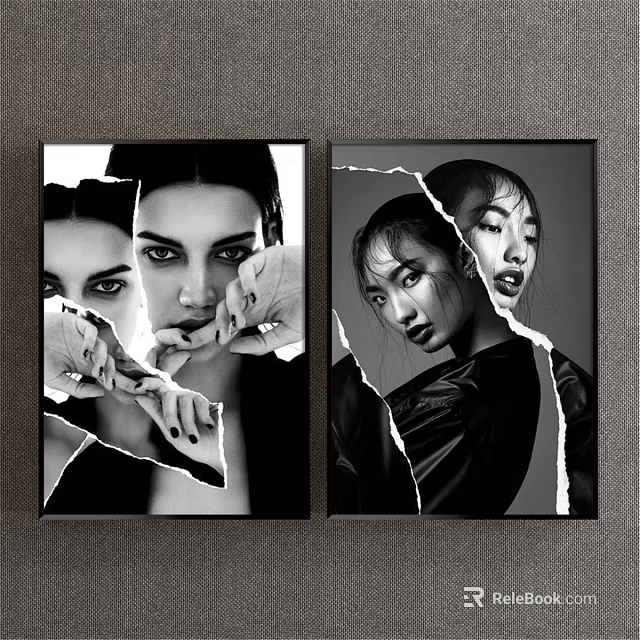 Black and White Female Portrait Art With Torn Paper Design Elements Two Framed Wall Paintings 3d model 