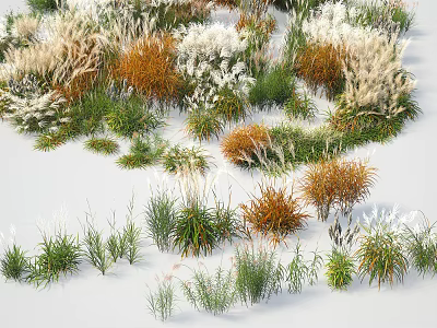 Diverse Herbs and Grasses with Green Orange White Hues in Natural Growing Forms 3d model