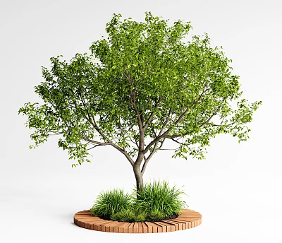 Lush Green Arbor with Dense Foliage on Circular Wooden Platform and Grass 3d model
