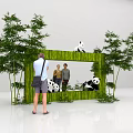 Scenic Photo Spot With Green Frame Bamboo Trees And Pandas For Taking