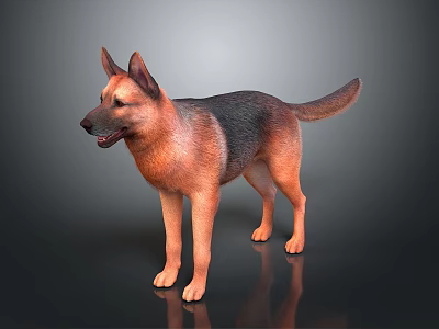 Realistic German Shepherd Dog with Brown and Black Coat Standing on Dark Surface 3d model