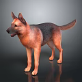 Realistic German Shepherd Dog with Brown and Black Coat Standing on Dark Surface