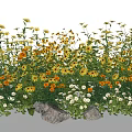 Vibrant Garden Flowers Featuring Yellow Orange White Blooms and Decorative Rocks