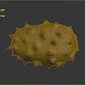 Yellow Spiky Kiwano Melon Fruit With Protrusions On Dark Background 3d model