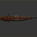 Red and Brown Spotted Fish With Fins Tail and Reflection on Gray Background