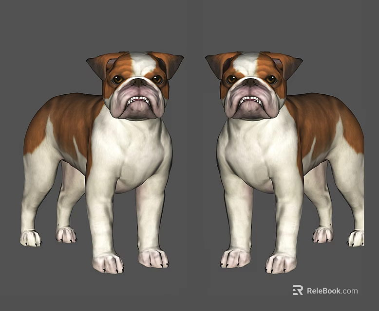 Two Brown And White Reptiles Standing On Gray Background In Studio 3d model 