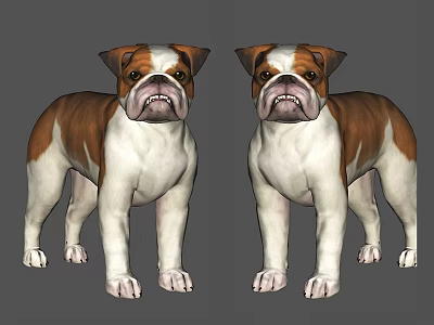 Two Brown And White Reptiles Standing On Gray Background In Studio 3d model