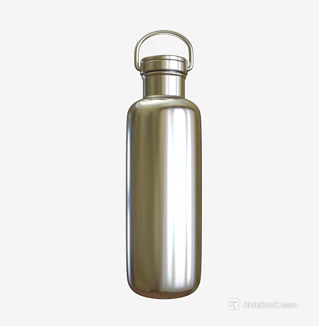 Stainless Steel Water Bottle Commercial Equipment With Loop Lid And Metallic Finish For Office Outdoor 3d model 