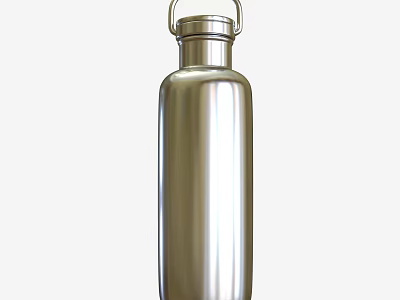 Stainless Steel Water Bottle Commercial Equipment With Loop Lid And Metallic Finish For Office Outdoor 3d model