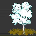 Lush Green Tree With Dense Foliage Brown Trunk And Surrounding Grass Plants