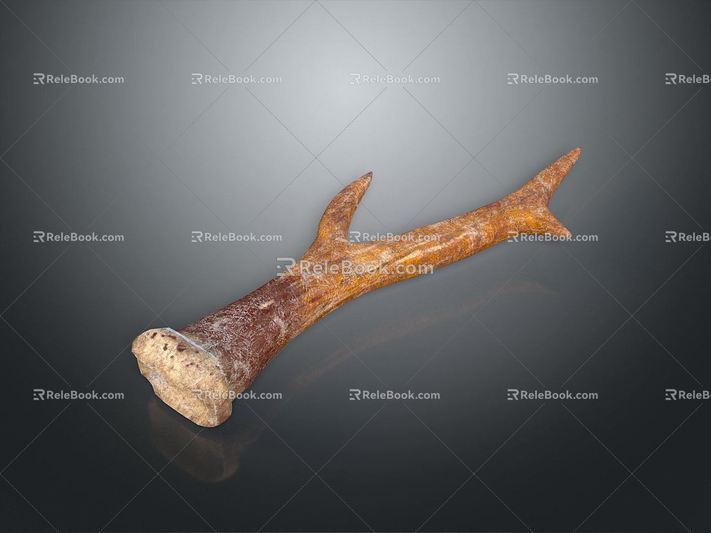 Antler antler herbs daily necessities 3d model