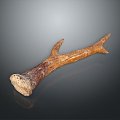 Antler antler herbs daily necessities 3d model