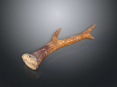 Natural Handmade Antler Shaped Decorative Household Item With Brown Wooden Texture And Smooth Finish 3d model