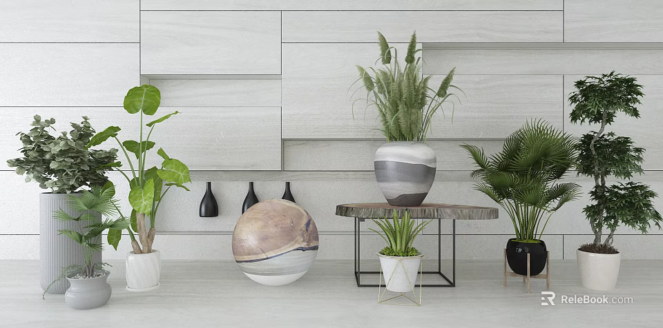 Potted Plants With Large Leaves Round Decorative Ball And Black Pots Against White Wall 3d model 
