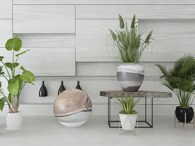 Potted Plants With Large Leaves Round Decorative Ball And Black Pots Against White Wall 3d model