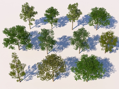 Common Tree Combinations 3d model